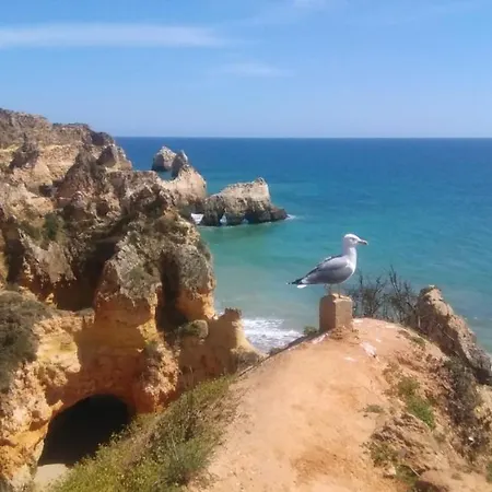 Alburvillage A - Novo Em Alvor