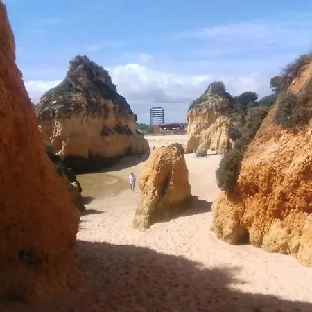 Alburvillage A - Novo Em